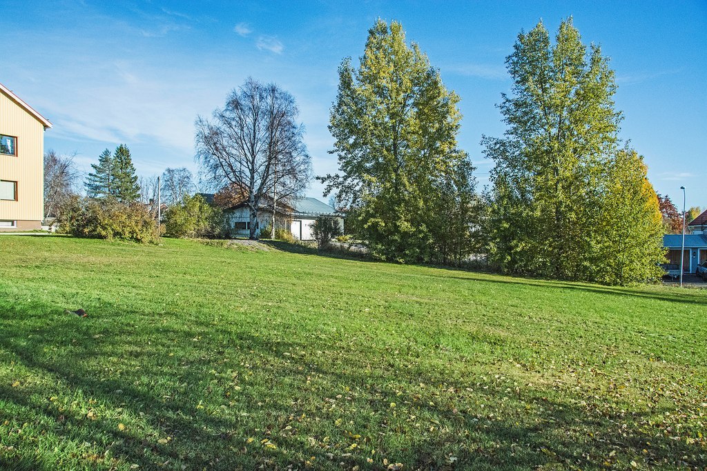 Skutgränd