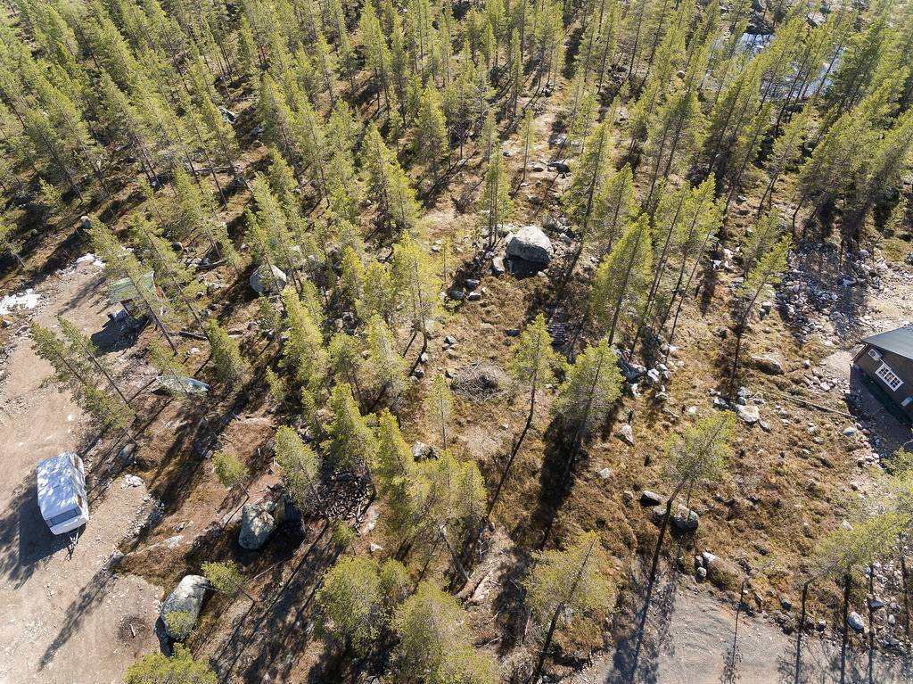 Allmänningskogen 1:29