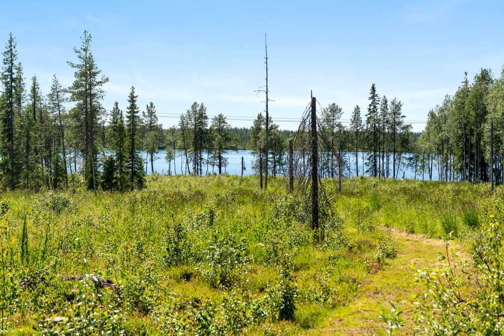 Holmsjö 1