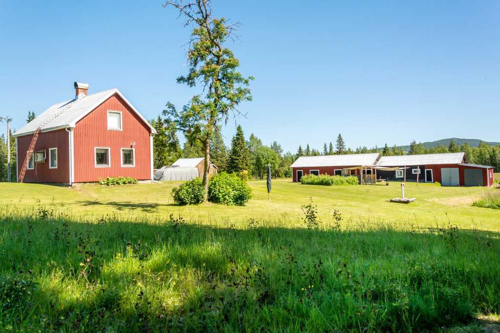 Holmsjö 1