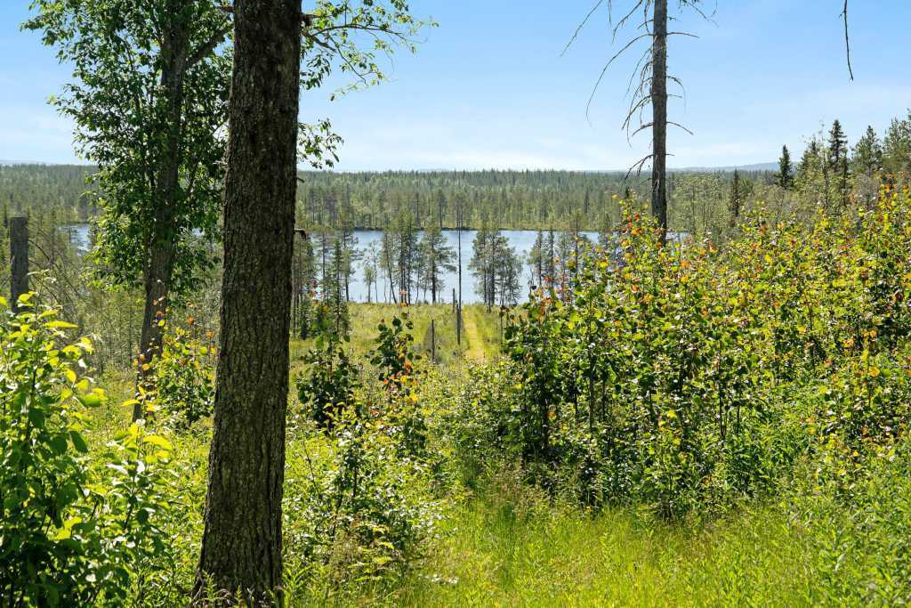 Holmsjö 1