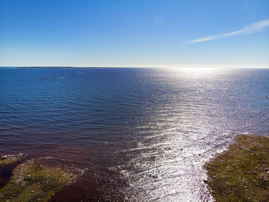 Gråsjälgrundet