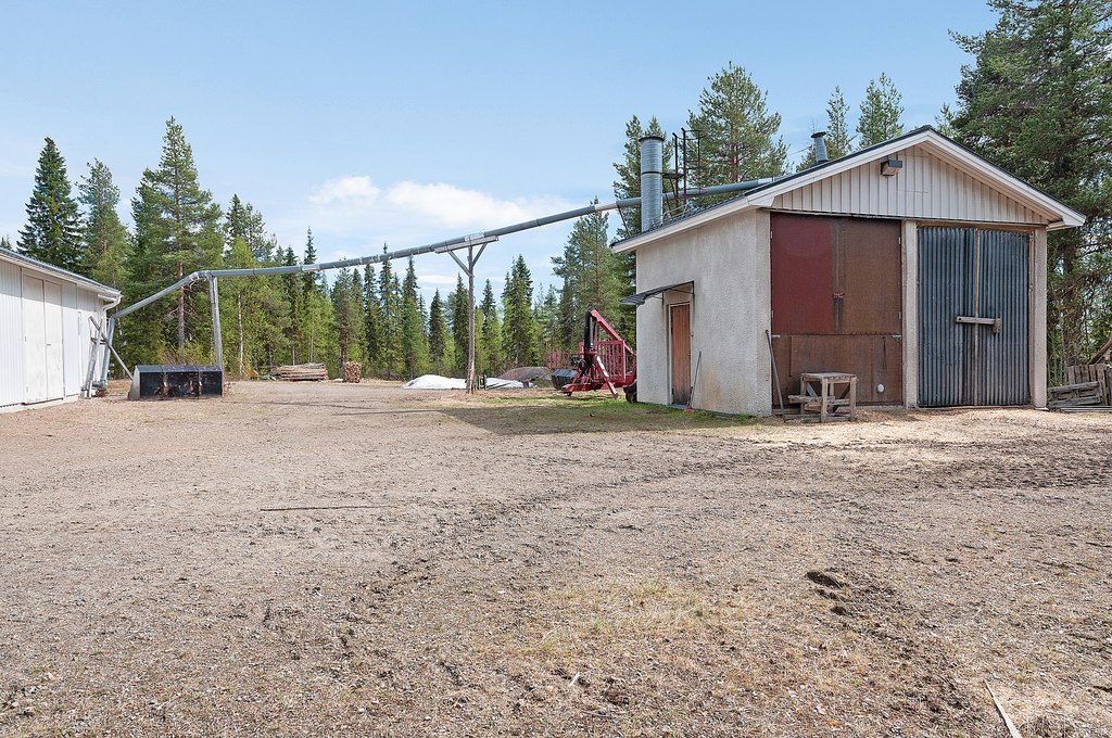 Liviöjärvi 51