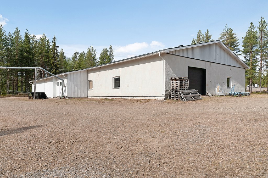 Liviöjärvi 51