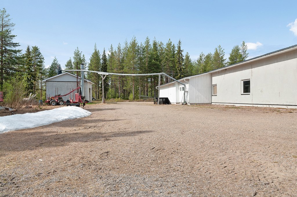 Liviöjärvi 51