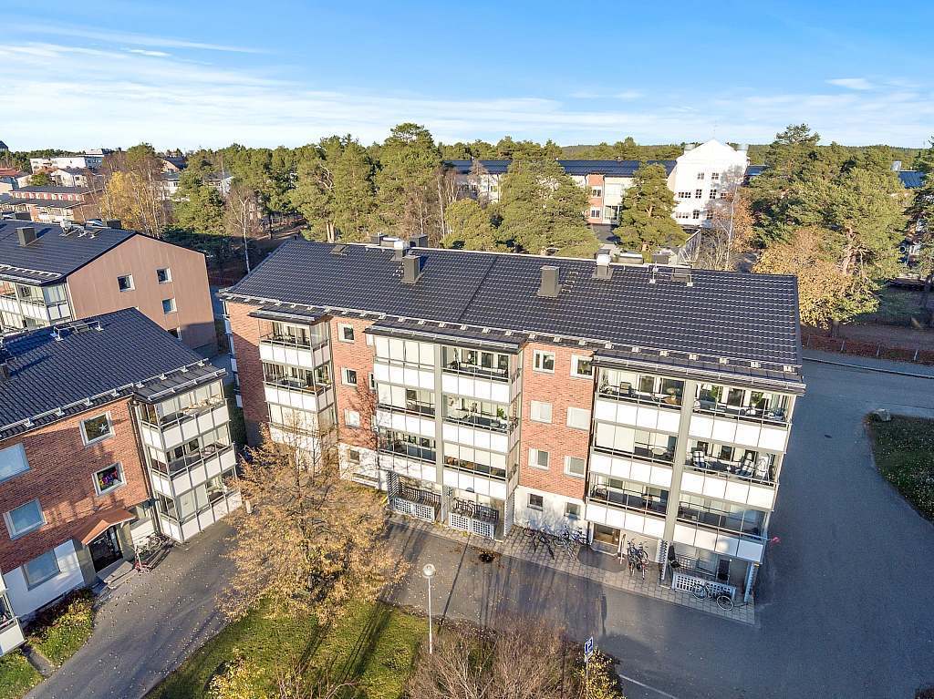 Björkgatan 11