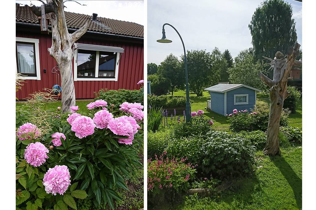Säljarens bilder