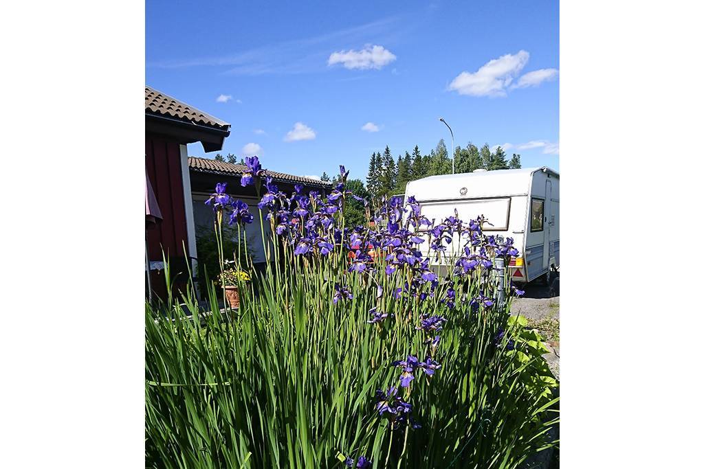 Säljarens bilder