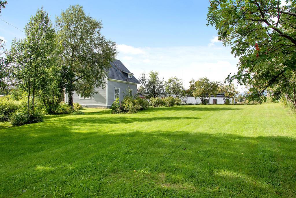 Stor och fin bakgård