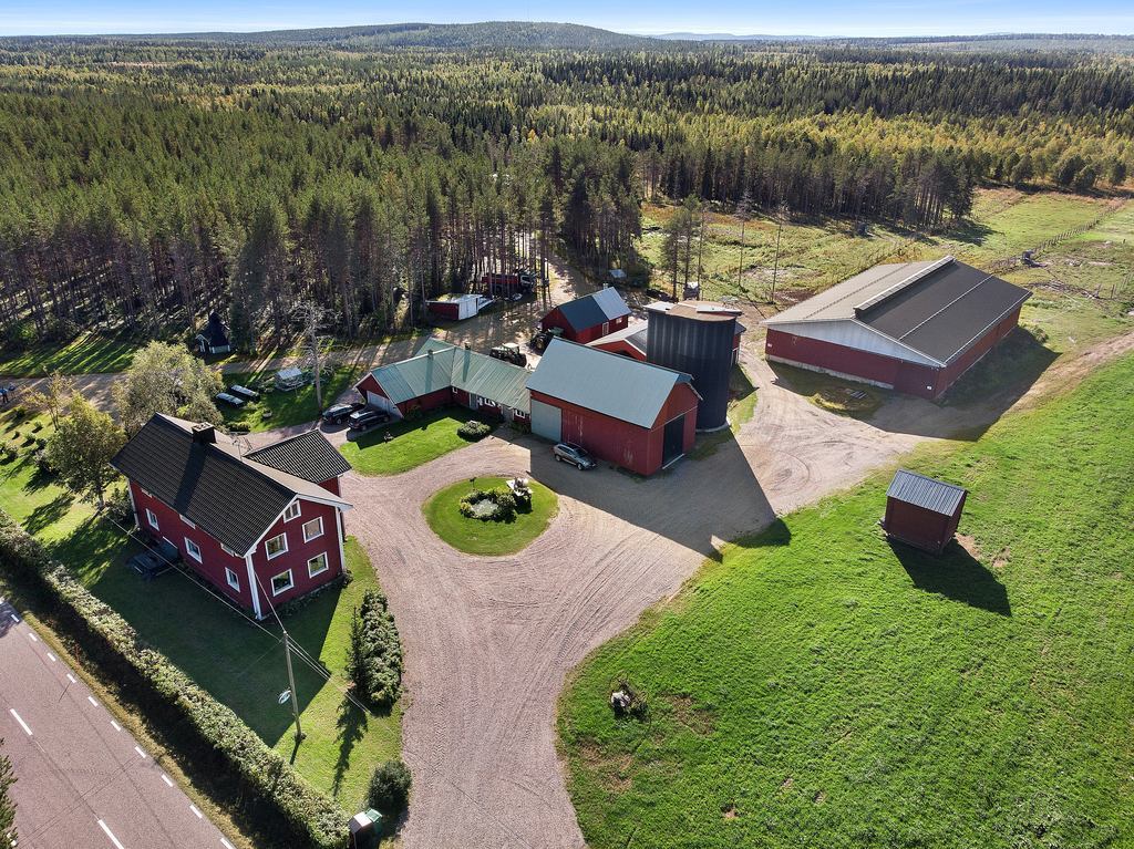 Välkommen till Kardis 204!