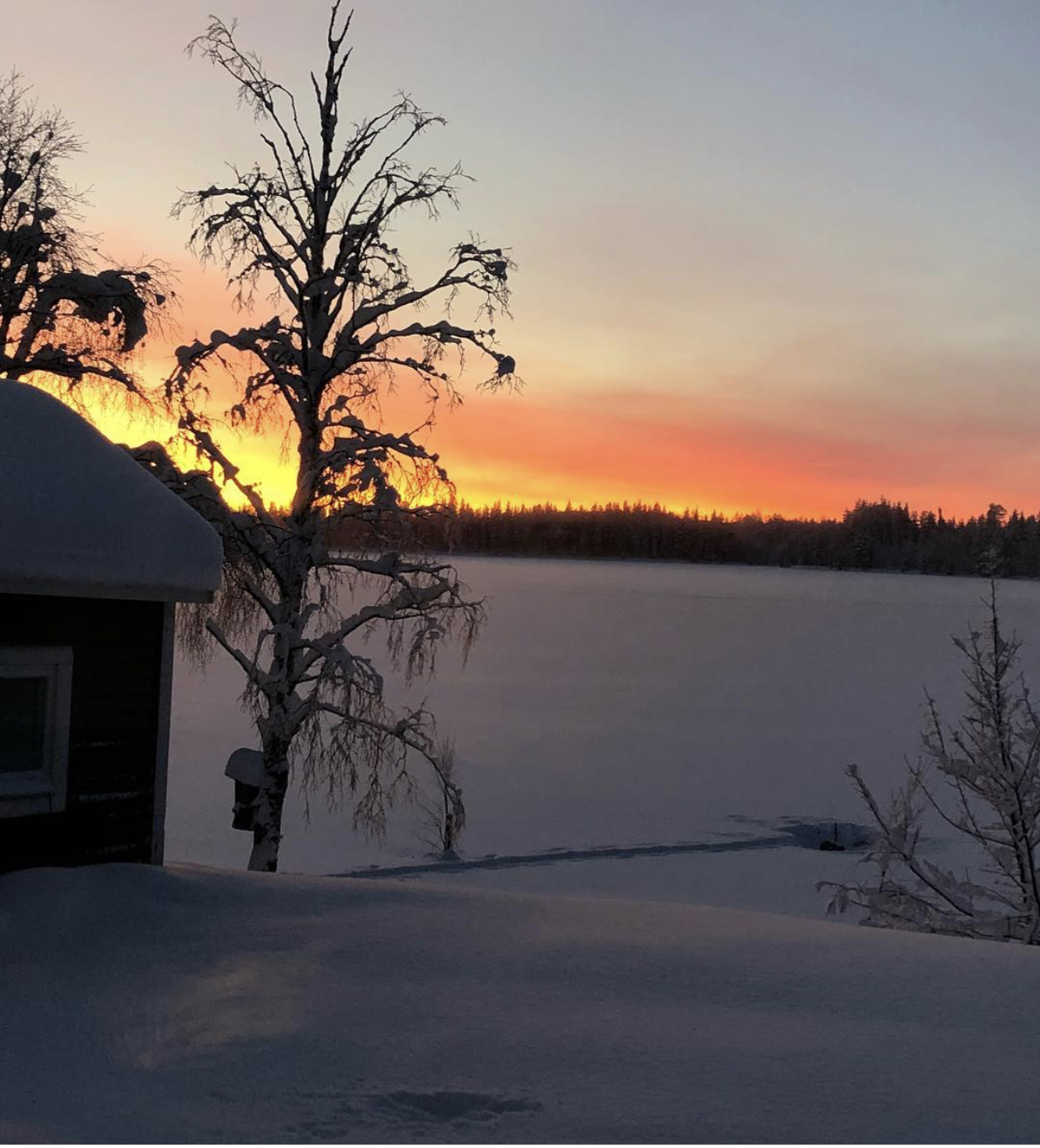 Säljarens bild - vinter
