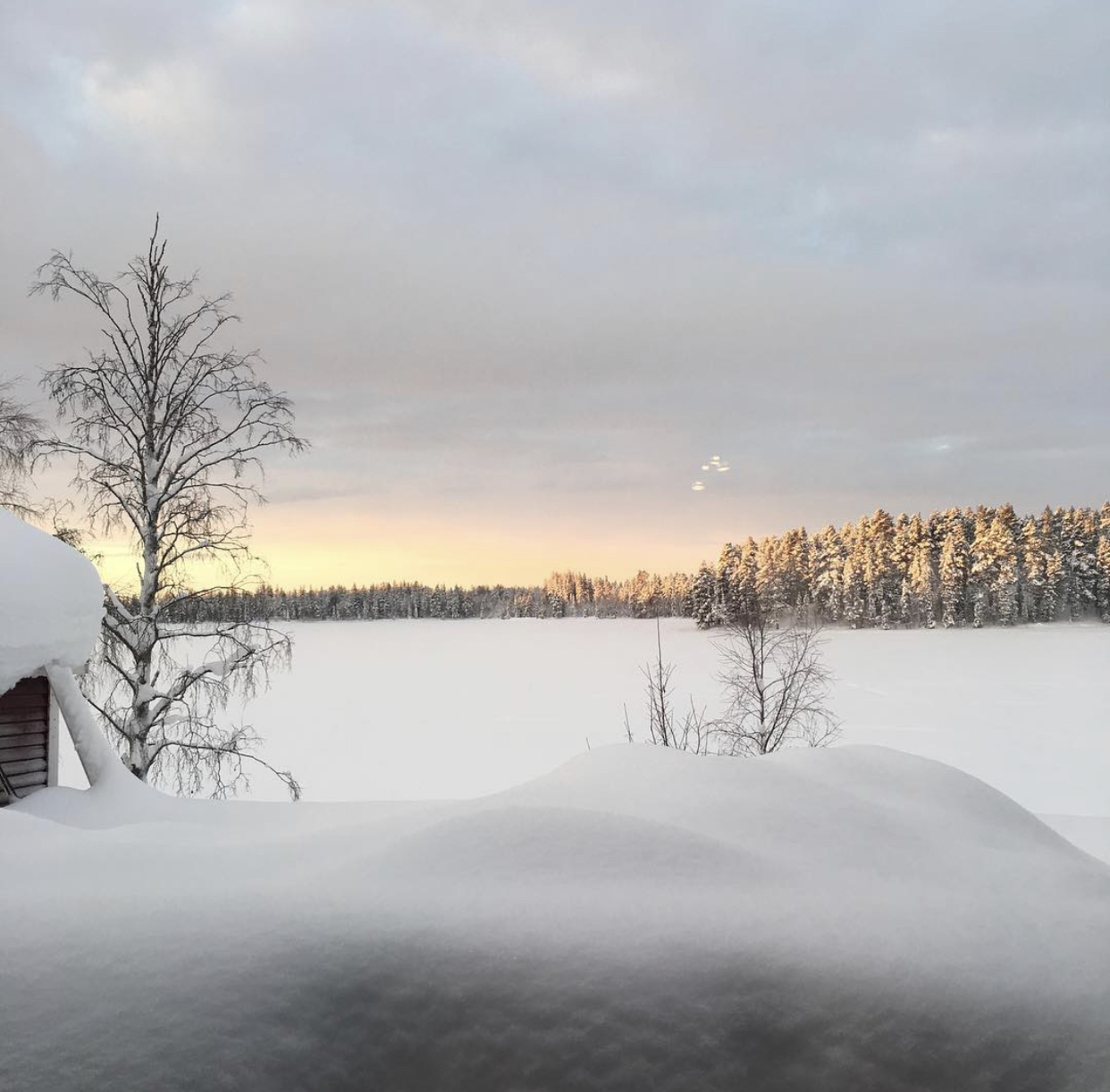 Säljarens bild - vinter