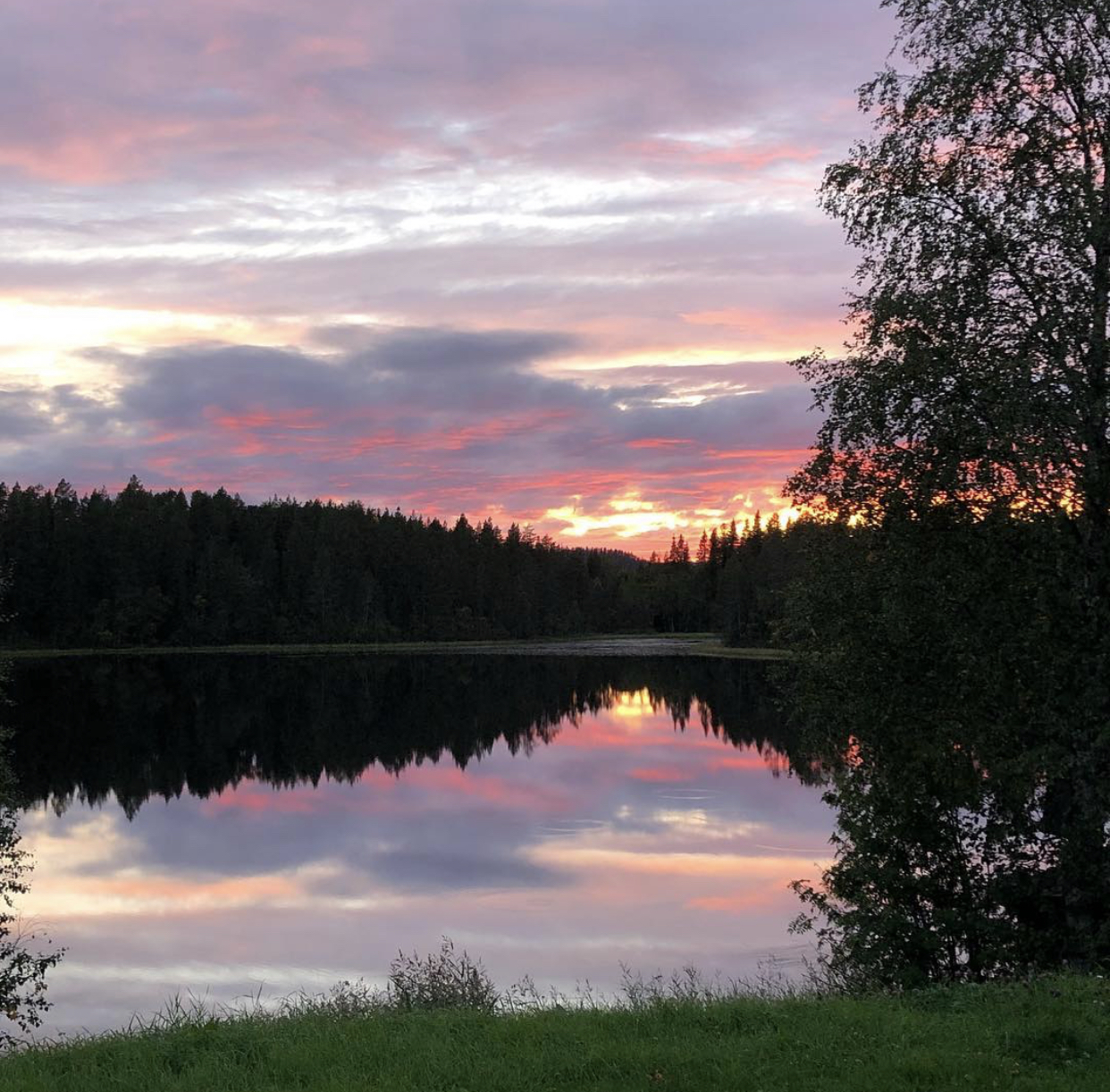 Säljarens bild - sommar