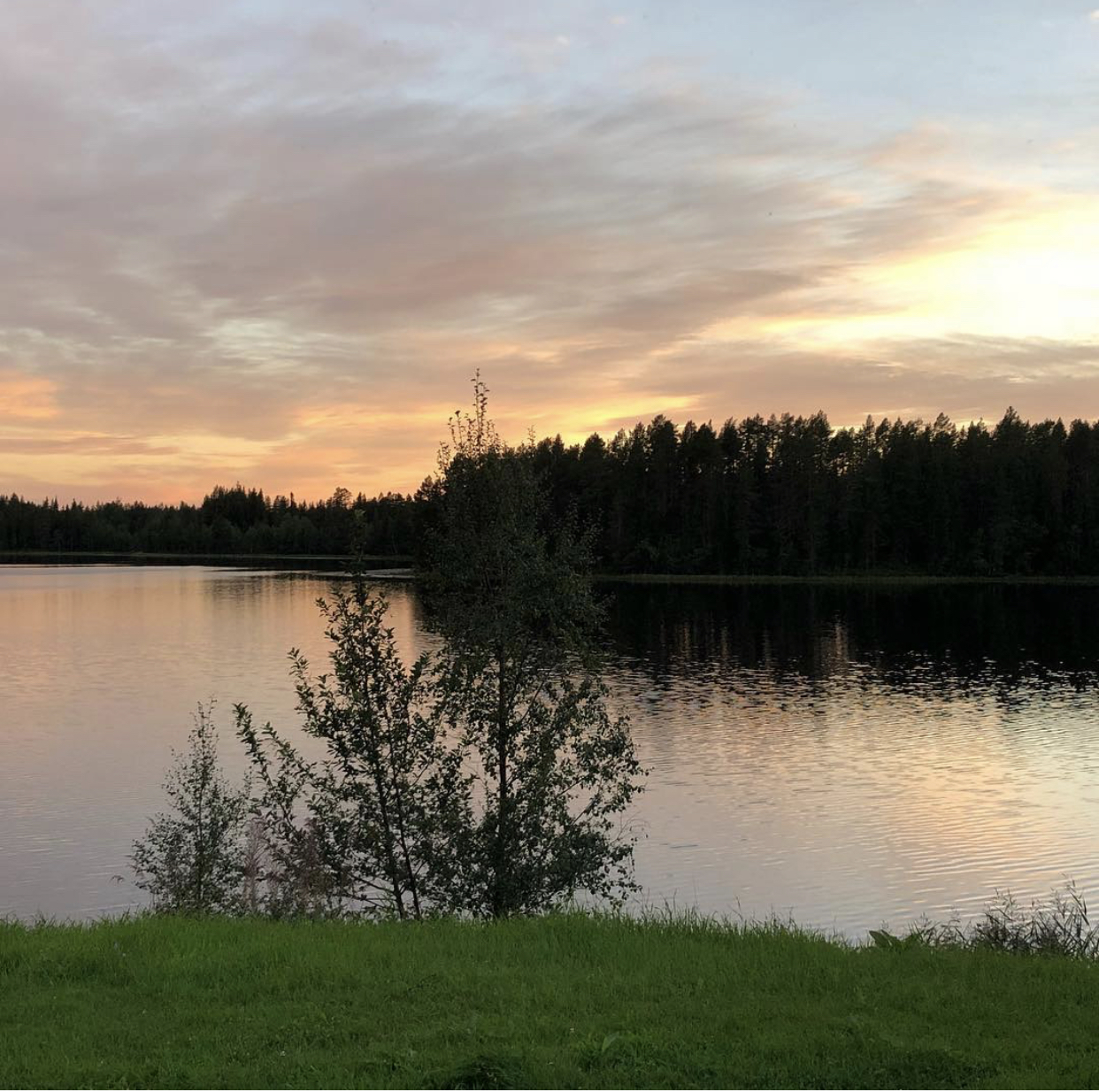 Säljarens bild - sommar