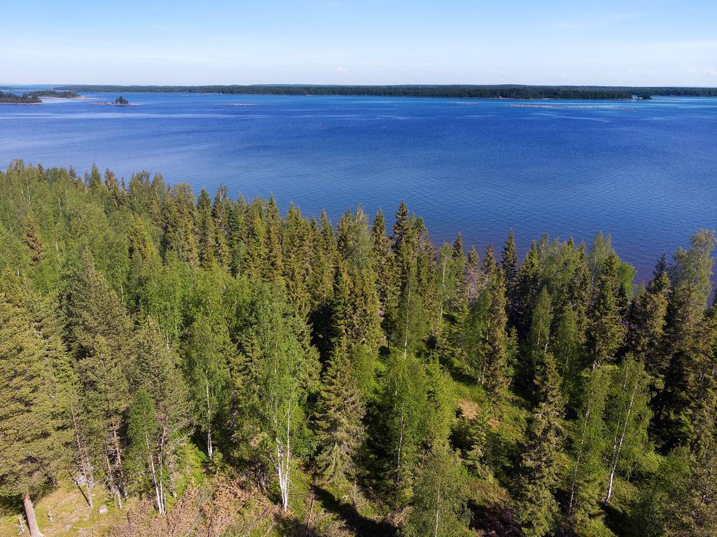 Den avstyckade tomten kan få skön utsikt om man röjer.