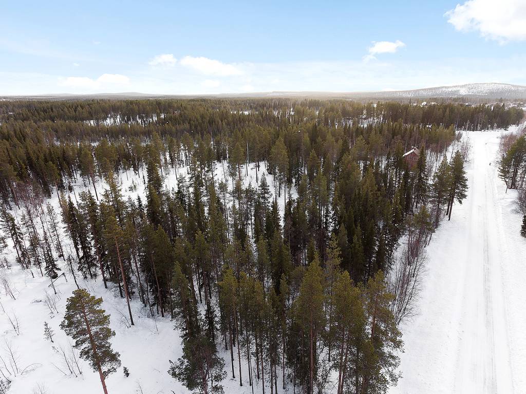 Leipojärvi