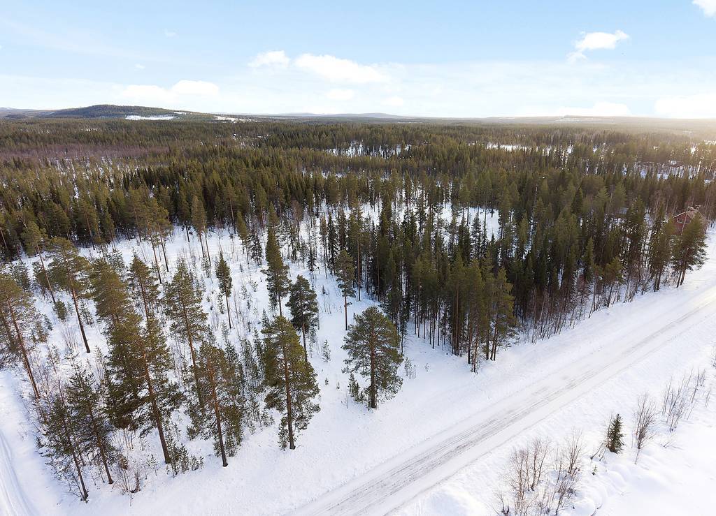 Leipojärvi
