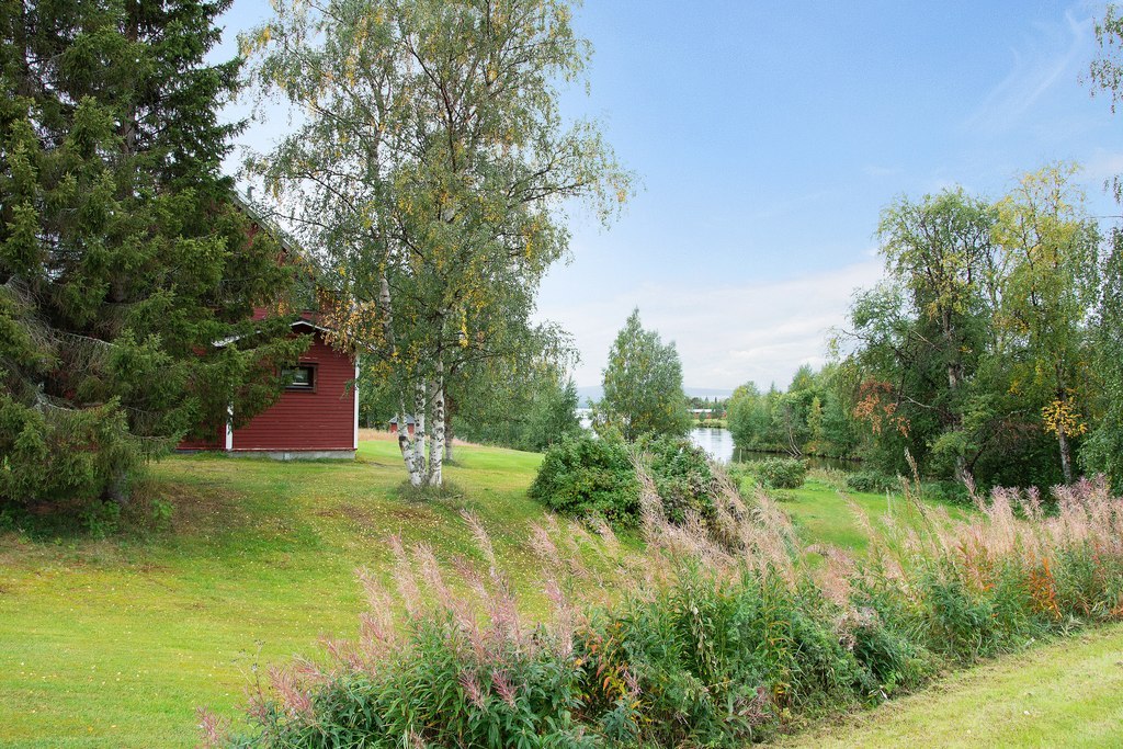 Tomtbild. Vy över huvudbyggnadens baksida.