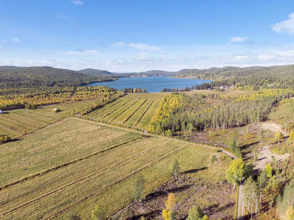 Järvträsk 102
