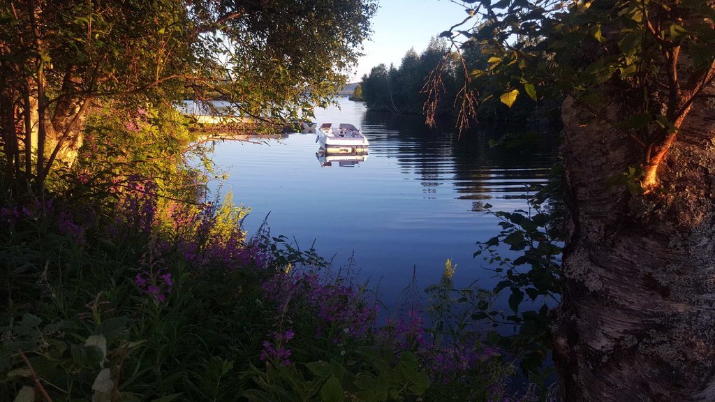 Säljares bild. Sommarbild taget från bryggan nedanför huvudbyggnaden.