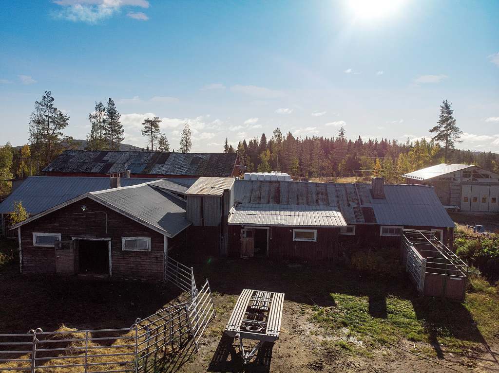 Järvträsk 102