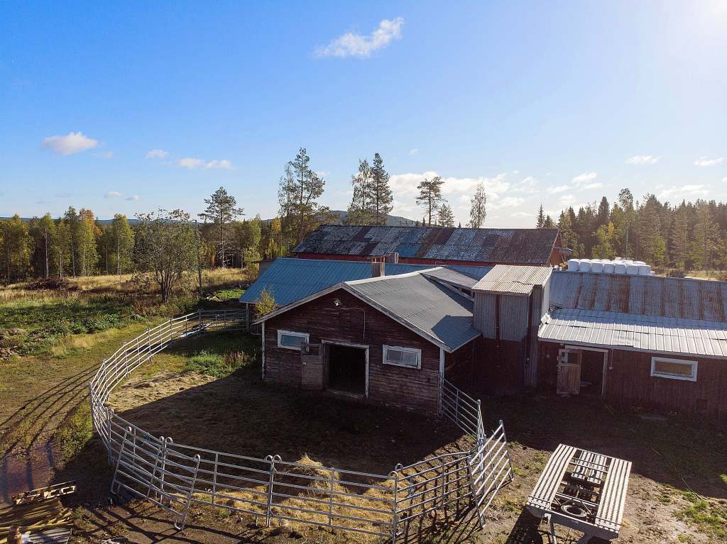 Järvträsk 102