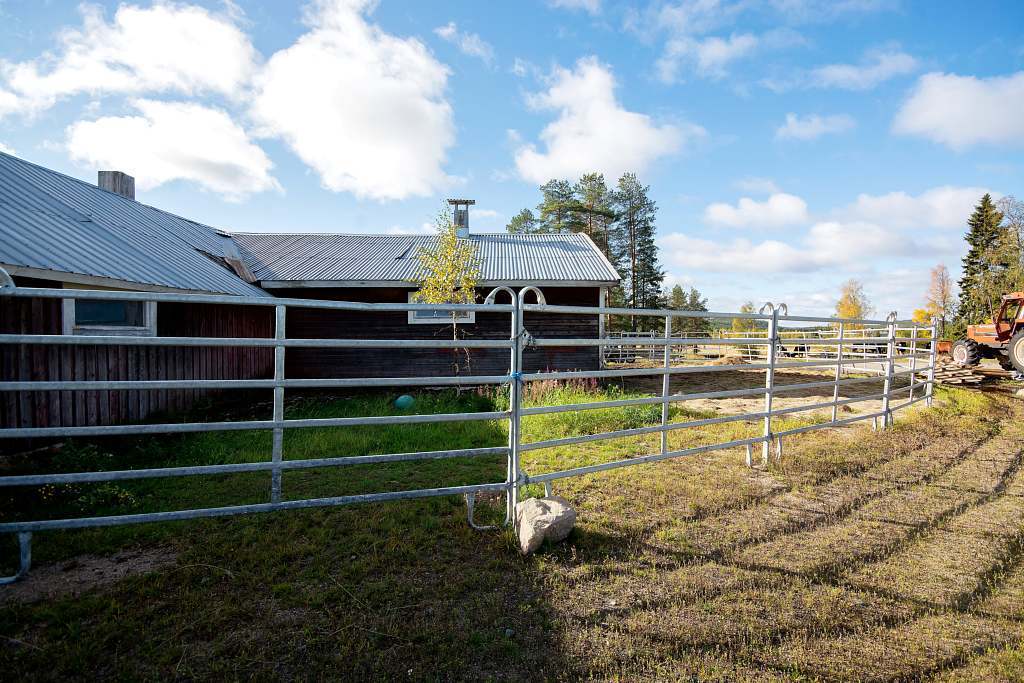 Järvträsk 102