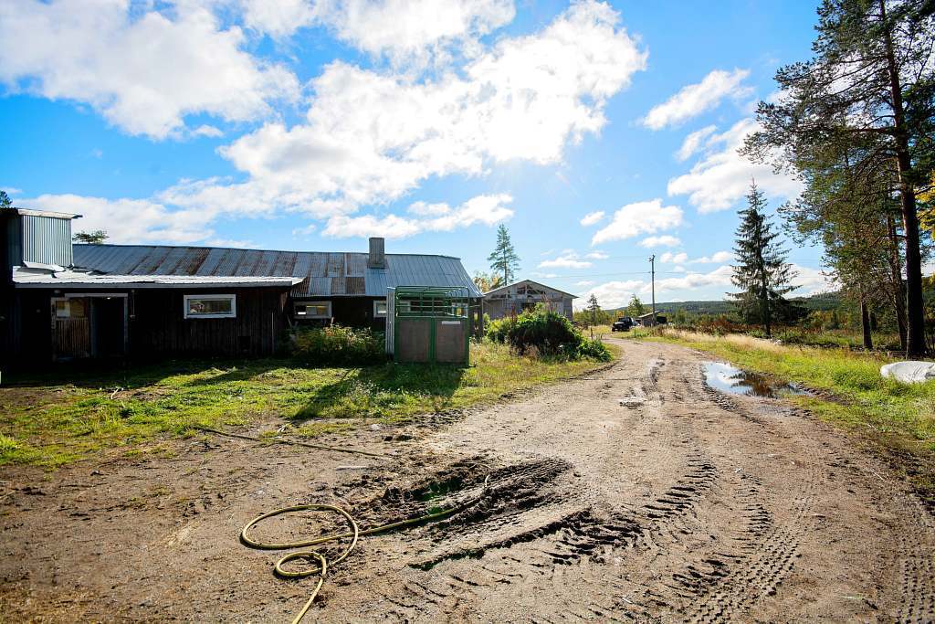 Järvträsk 102