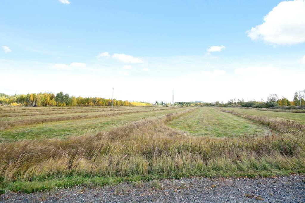 Järvträsk 102