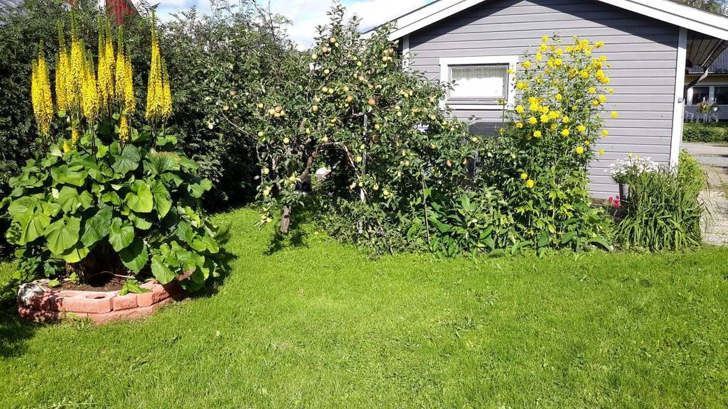 Säljarens sommarbild.